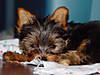 More_Phoebe_Pics_026.jpg