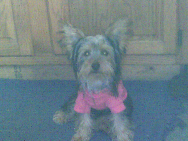 roxy_jo_3