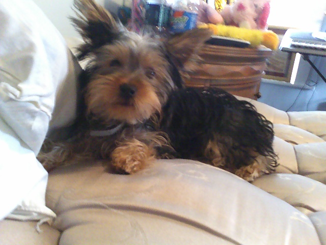 roxy_jo_6