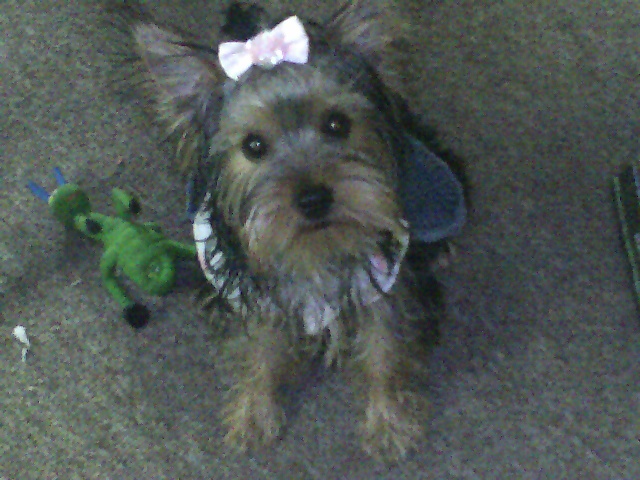 roxy_jo_7