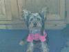 roxy_jo_3.jpg