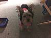 roxy_jo_5.jpg