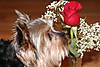 Alexmay_59x103.jpg