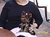 100_0787.jpg