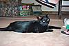 100_0776.JPG