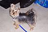 100_0379.JPG