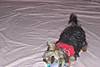 100_0294_0001.JPG