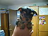 DSCN0854.JPG