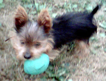 bubba2