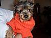 000_0347.jpg