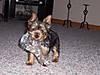 000_0360.jpg