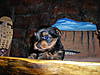 DSCN0319.JPG