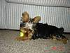 DSC015811.jpg