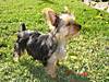 DSC016331.jpg