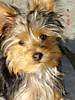 DSC016371.jpg