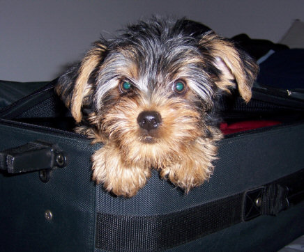 Mickeywants2go
