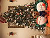 DSCF1042.JPG