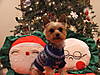DSCF1047.JPG