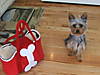 DSCF0904.JPG