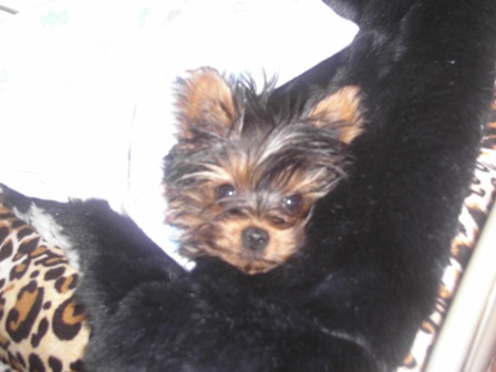 Bailey21