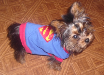 SUPERBAILEY