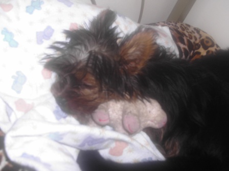 sleepyhead2