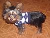 Stylin_Bailey.JPG