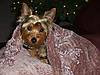 100_0771.jpg