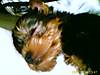 IMAGE_00118.jpg