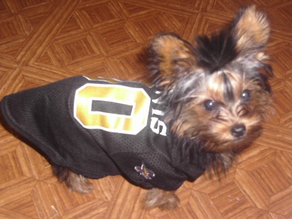 BaileySaints