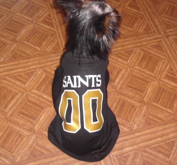 BaileySaints2