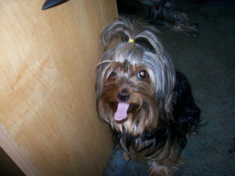 spanky