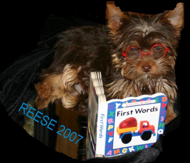 reese2007_Small_