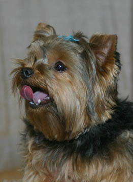 Abby