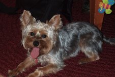 More_tongue