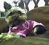 02-25-07_2107_part2.jpg