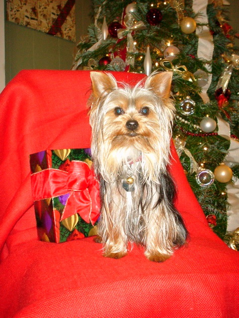 1Miko_12-16-2002
