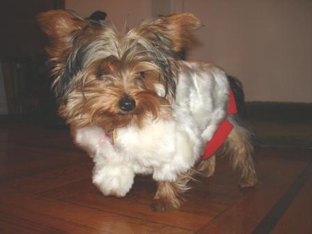 I_don_t_like_my_new_Fur_Coat
