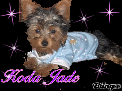 KODA