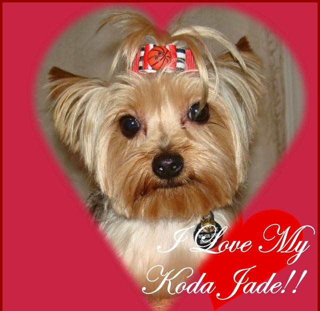 Koda_Jade