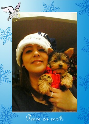 Koda_Sandy