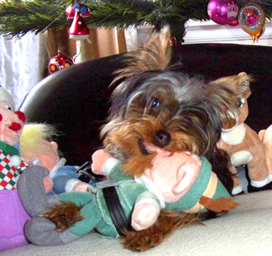 xmaspals4