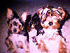 Picture_295.jpg
