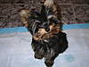 Picture_0223.jpg