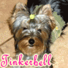 I'll make YOU an animated avatar!-chloeandtink2.gif