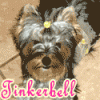 I'll make YOU an animated avatar!-chloeandtinkblinknod.gif