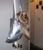 a Duct-tape dog carrier!-sullytape3.jpg