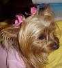 I'll make YOU an animated avatar!-bitsy2-2-.jpg