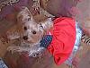 Handmade Clothing-dress-2.jpg