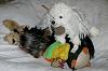 He with the most toys wins!-dsc_9534.jpg